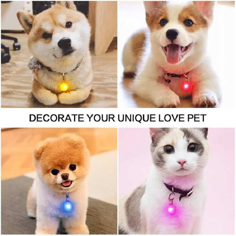 Tech Dog Accessories - LED Leuchtende Anhänger Taschenlampe Hund Katze