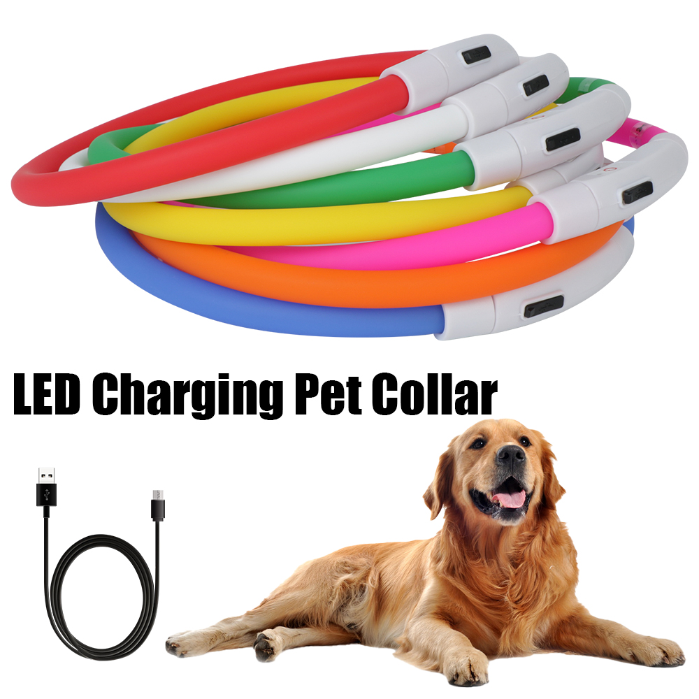 Tech Dog Accessories - Hund Verlust Prävention Led USB Hundehalsband