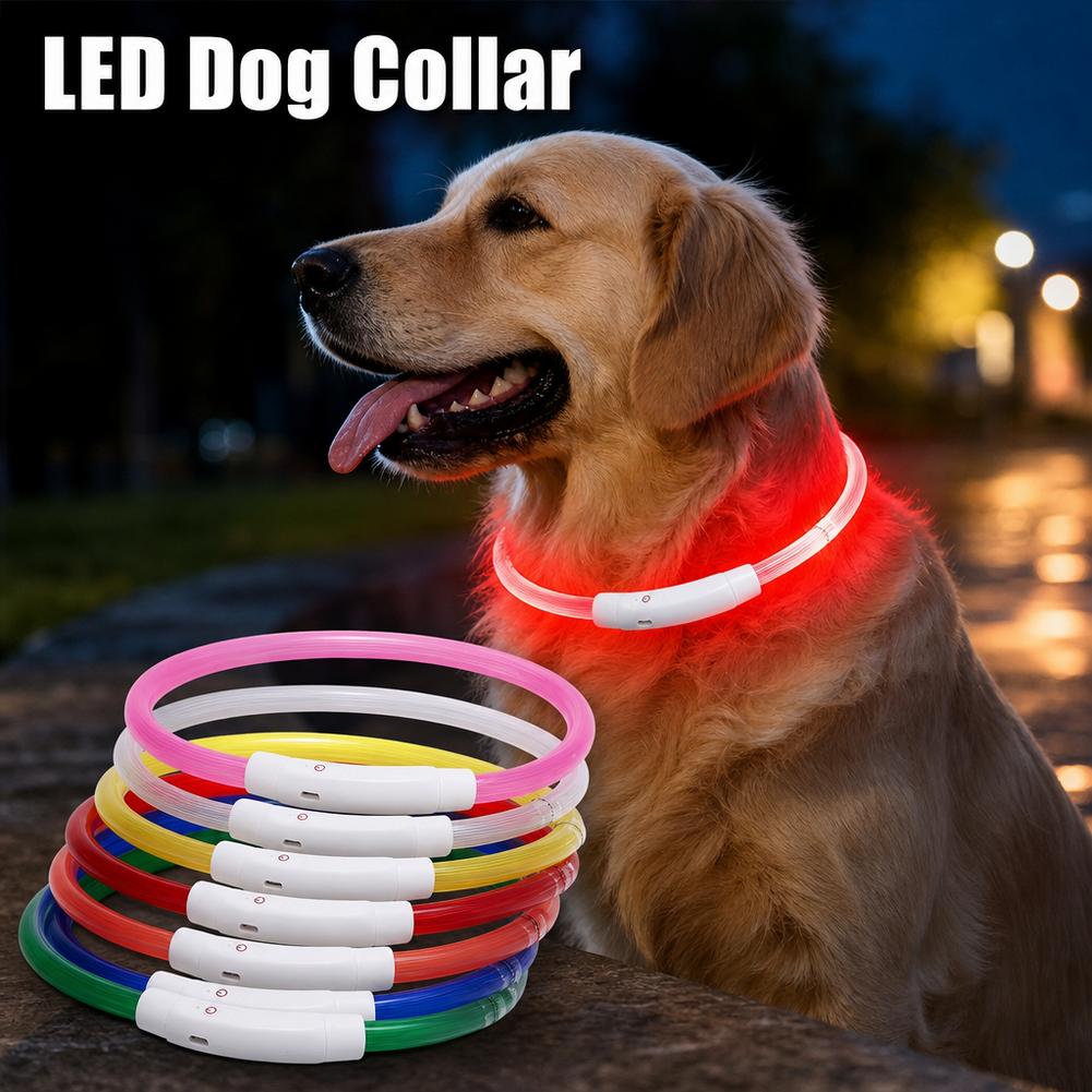 Leuchtendes Hundehalsband Wass – Tech Dog Accessories Bewertung und Preis
