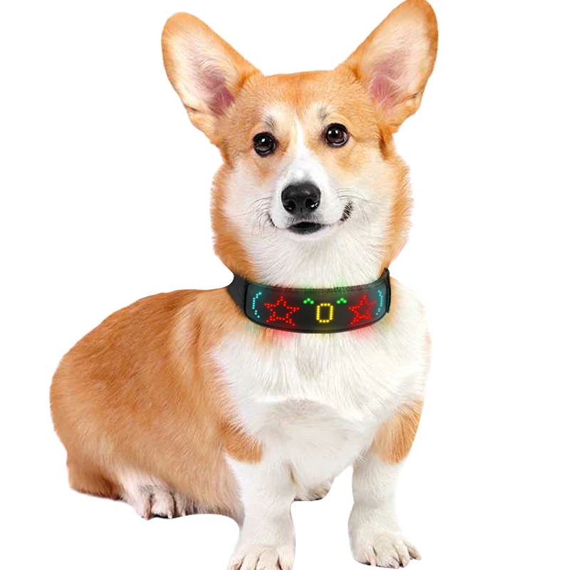 Mehrfarbige LED-Hundehalsbände – Tech Dog Accessories Bewertung und Preis
