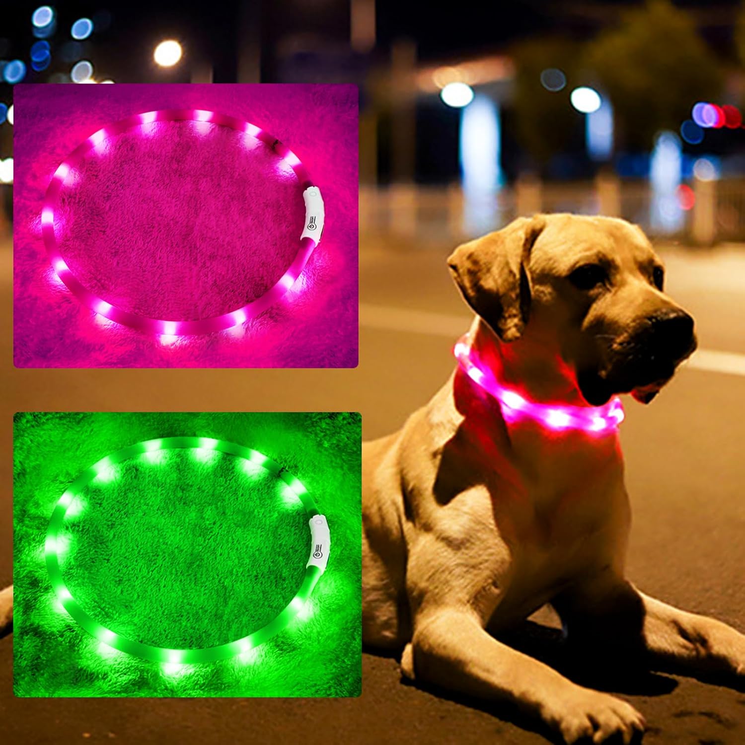 Silikon-LED-Hundehalsband, wie – Tech Dog Accessories Bewertung und Preis