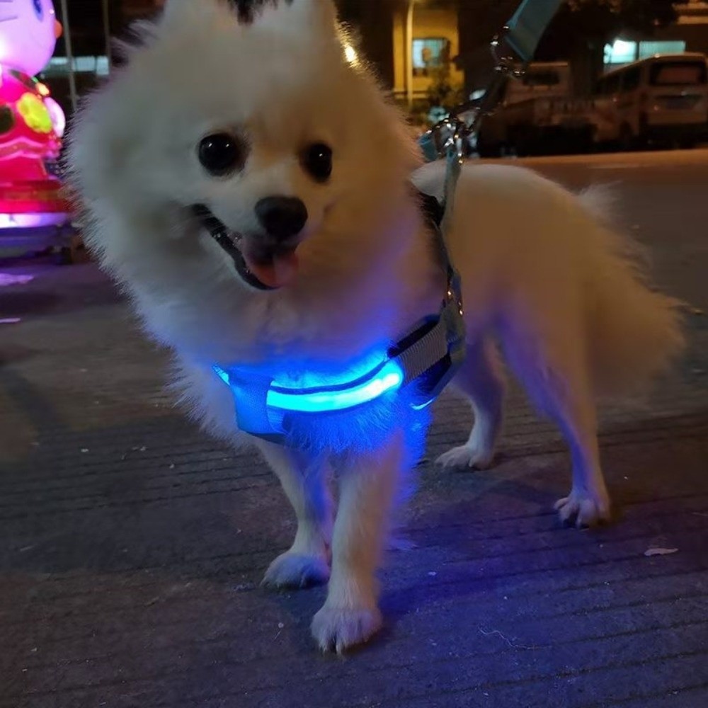 Atmungsaktives LED-Hundegeschi – Tech Dog Accessories Bewertung und Preis