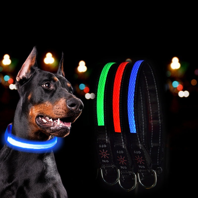 USB-LED-Hundehalsband-Leuchten – Tech Dog Accessories Bewertung und Preis