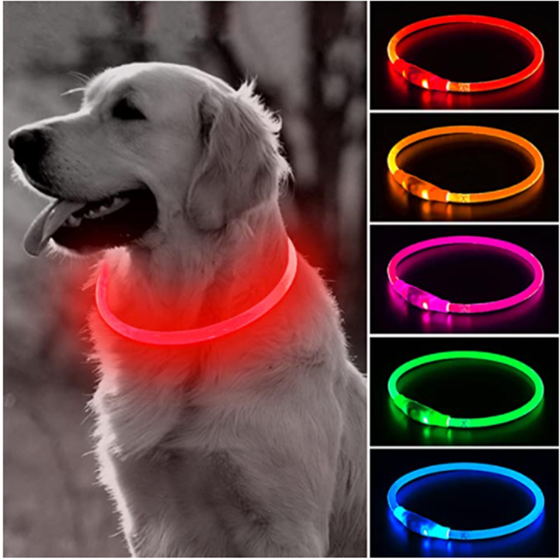 LED-Licht-Hundehalsband, abneh – Tech Dog Accessories Bewertung und Preis