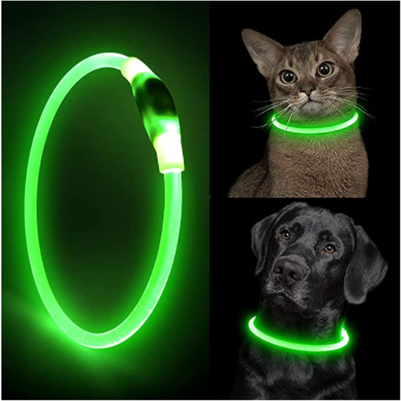LED-Licht-Hundehalsband, abneh – Tech Dog Accessories Bewertung und Preis