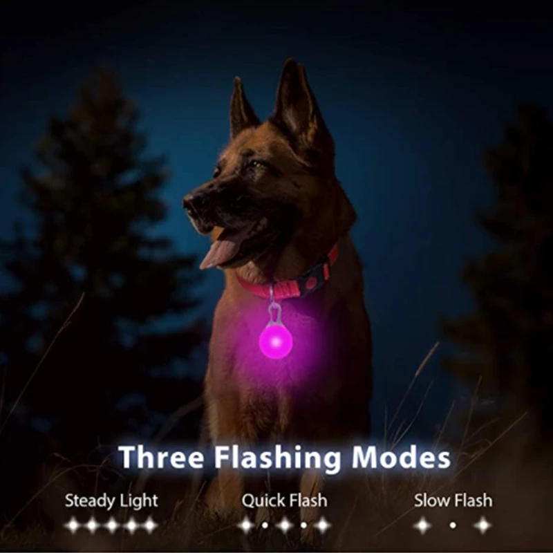 LED Leuchtende Anhänger Tasche – Tech Dog Accessories Bewertung und Preis