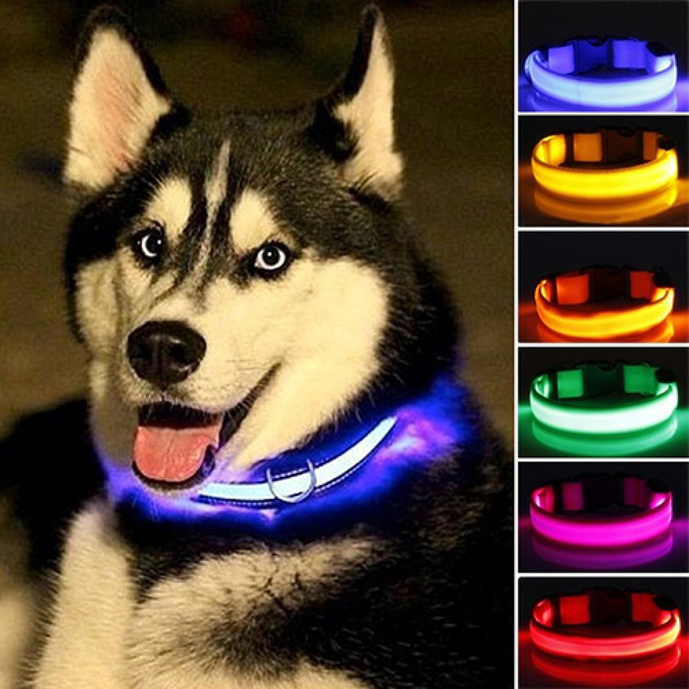 LED-Hunde-Anti-Verlust-Halsban – Tech Dog Accessories Bewertung und Preis