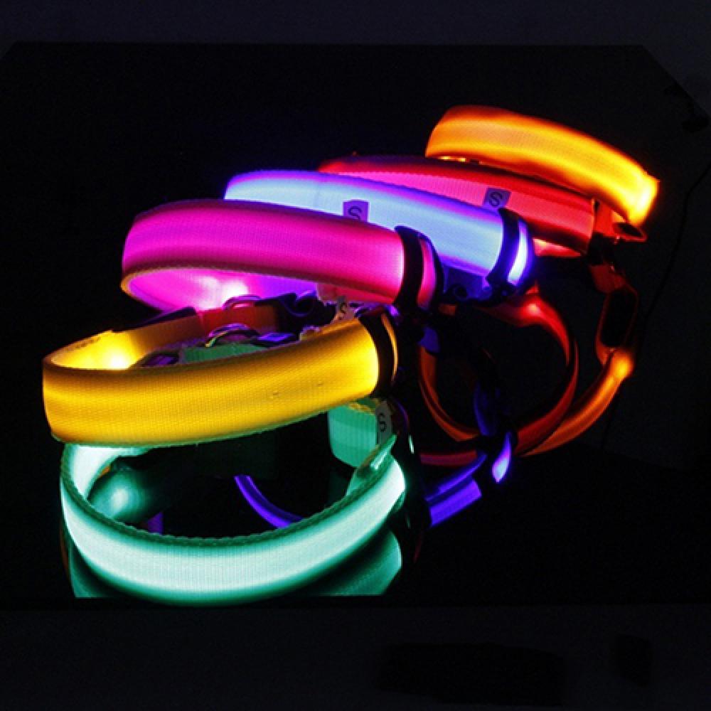 LED-Hunde-Anti-Verlust-Halsban – Tech Dog Accessories Bewertung und Preis