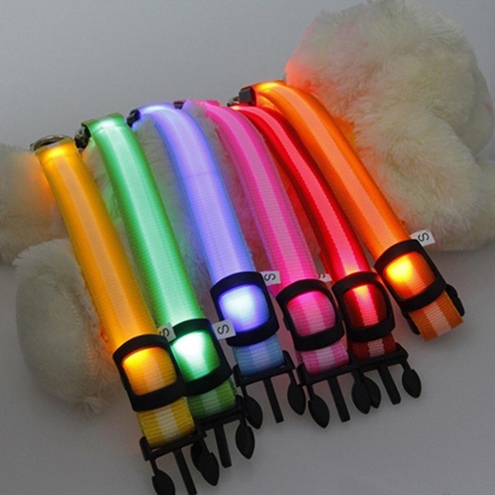 LED-Hunde-Anti-Verlust-Halsban – Tech Dog Accessories Bewertung und Preis