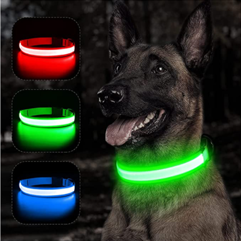 USB-Aufladbares Leuchtendes Ha – Tech Dog Accessories Bewertung und Preis