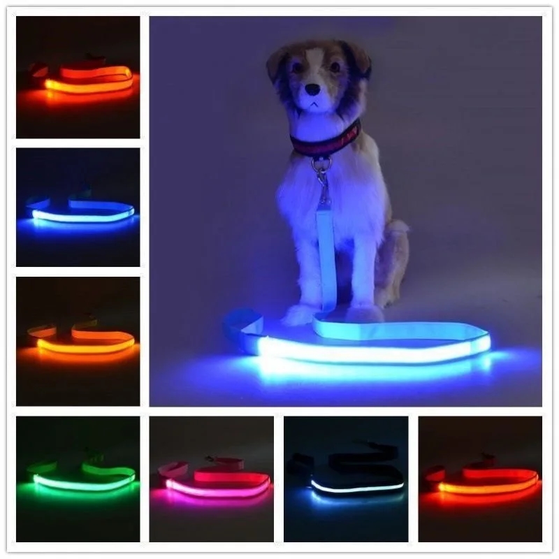 Led Haustier Hund Leine Seil M – Tech Dog Accessories Bewertung und Preis