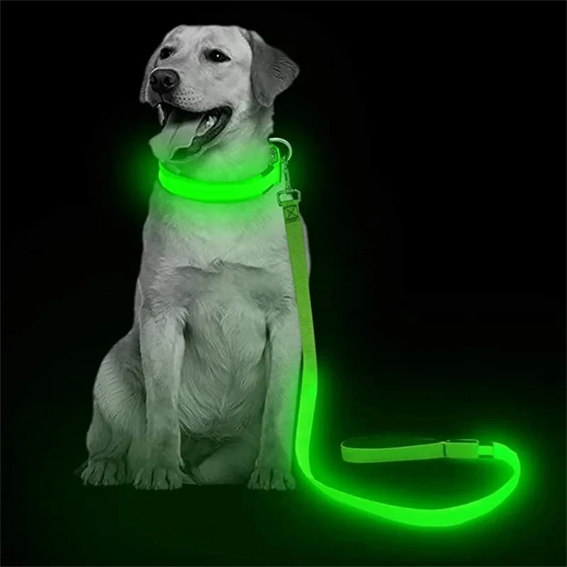 Led Haustier Hund Leine Seil M – Tech Dog Accessories Bewertung und Preis