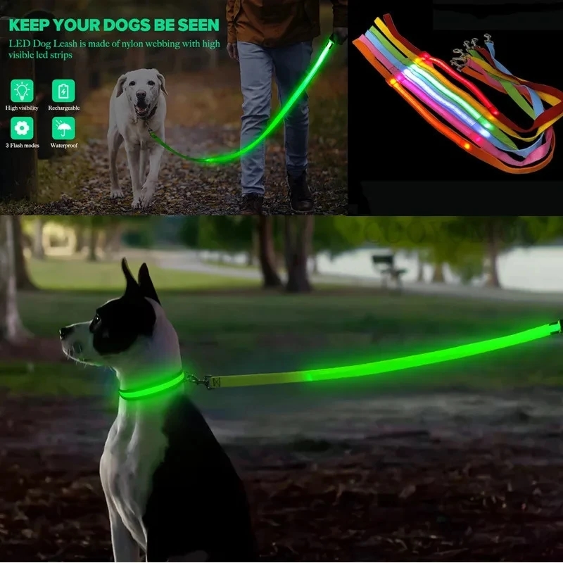 Led Haustier Hund Leine Seil M – Tech Dog Accessories Bewertung und Preis