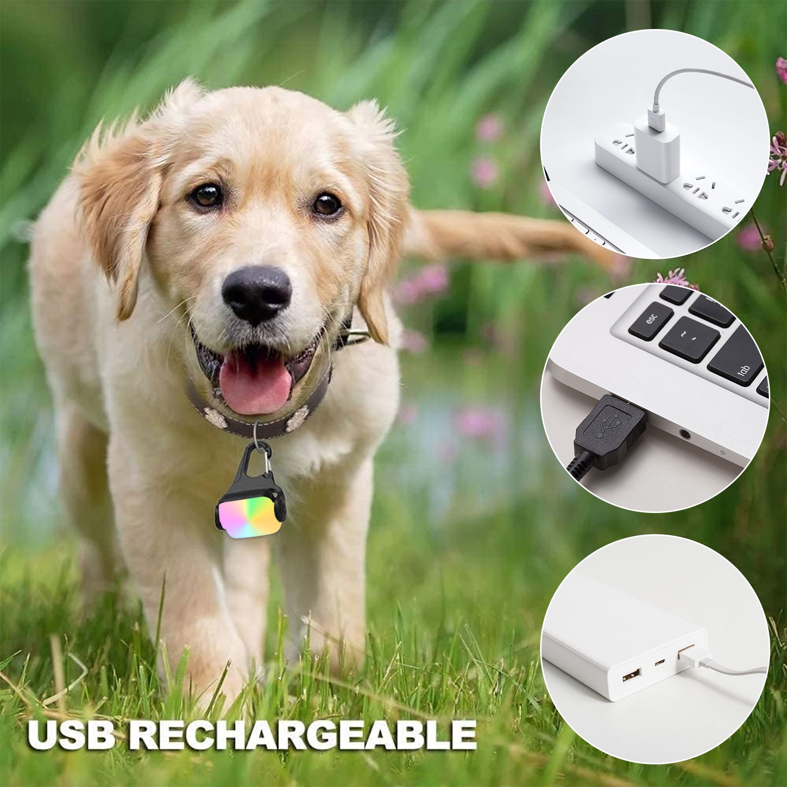 2er-Pack LED-Hundehalsband-Lic – Tech Dog Accessories Bewertung und Preis