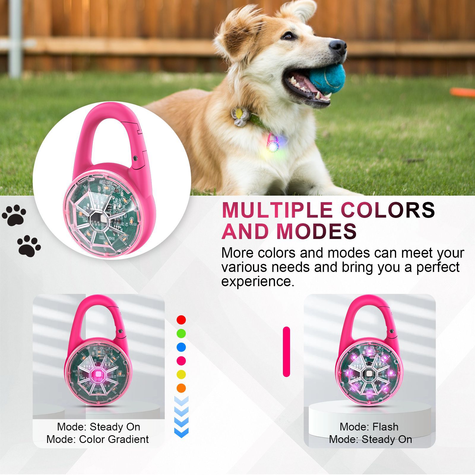 USB-Aufladbare LED-Sicherheits – Tech Dog Accessories Bewertung und Preis