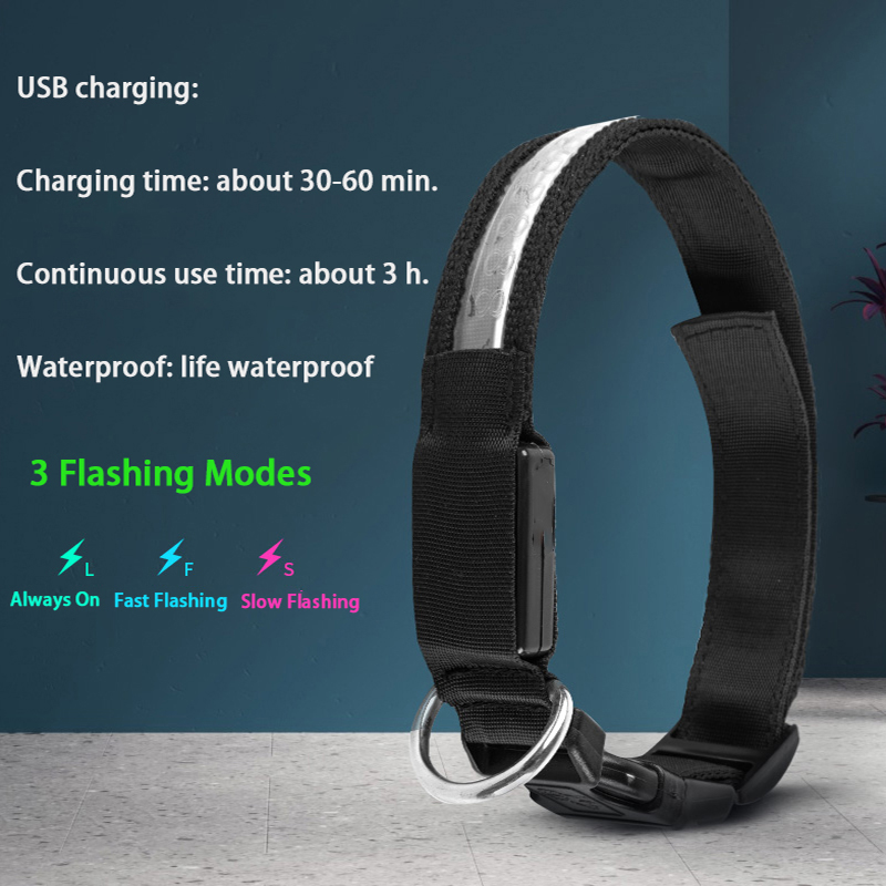 Gravierte ID LED Hundehalsband – Tech Dog Accessories Bewertung und Preis