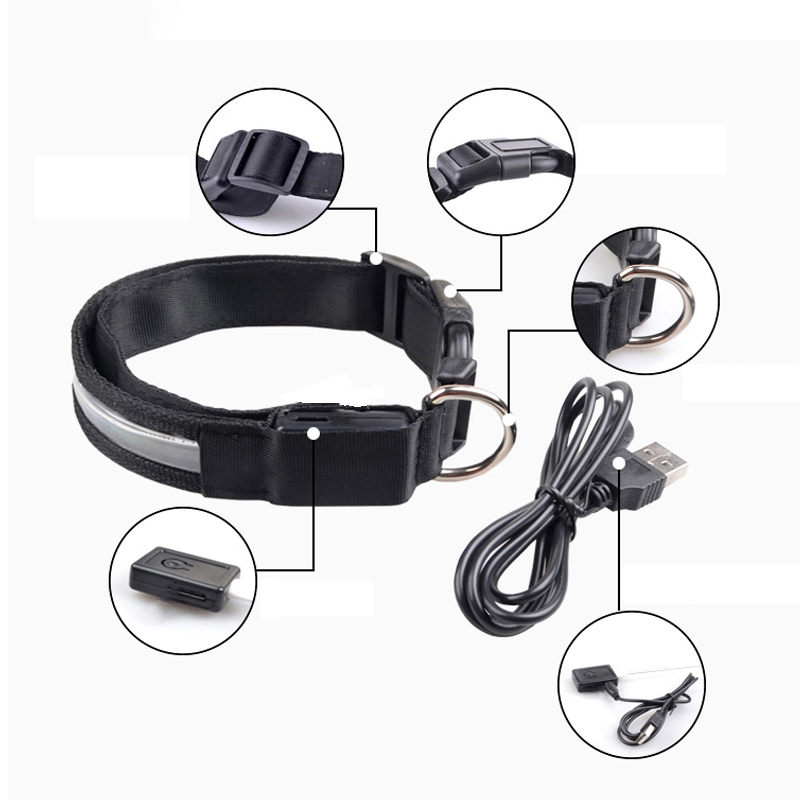 Gravierte ID LED Hundehalsband – Tech Dog Accessories Bewertung und Preis